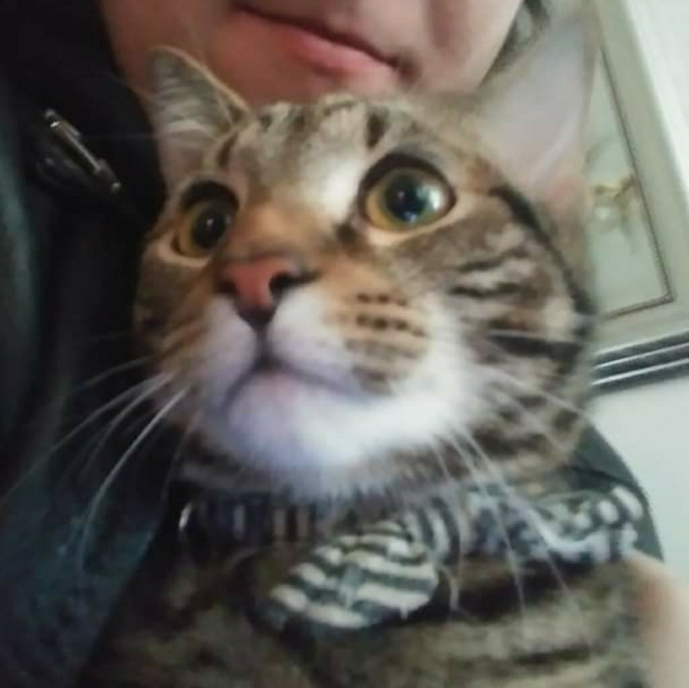 Meet your Posher, Hannah